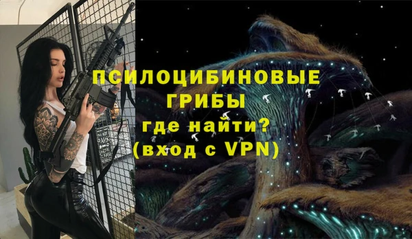 синтетический гашиш Алексин