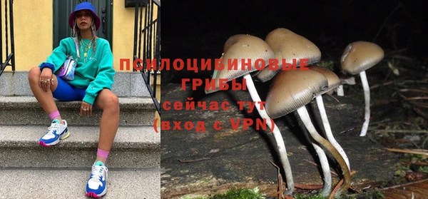 mdpv Алзамай