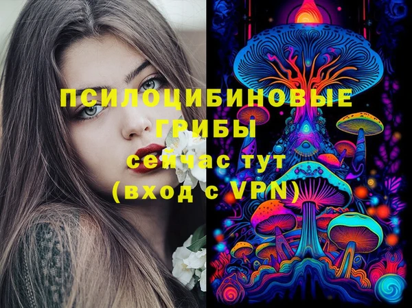 экстази Алексеевка